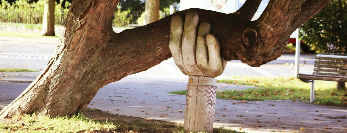 hand holding a tree up