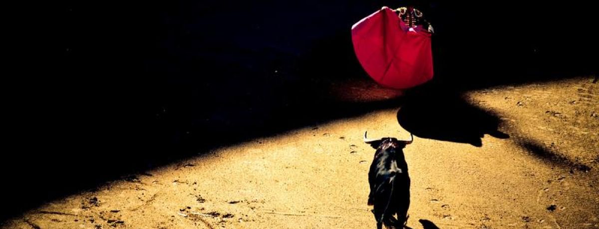 Matador Bull Fighter