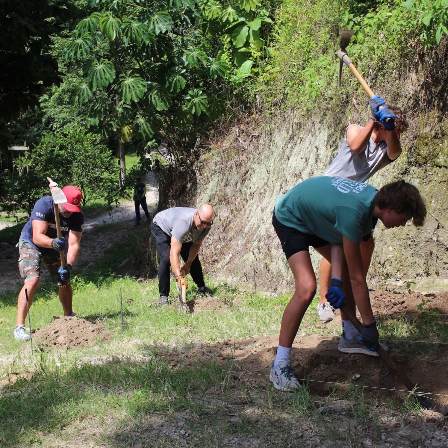 woman holding a chicken, outdoors
