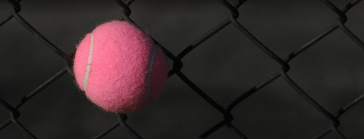 Pink Tennis Ball Stuck In The Fence