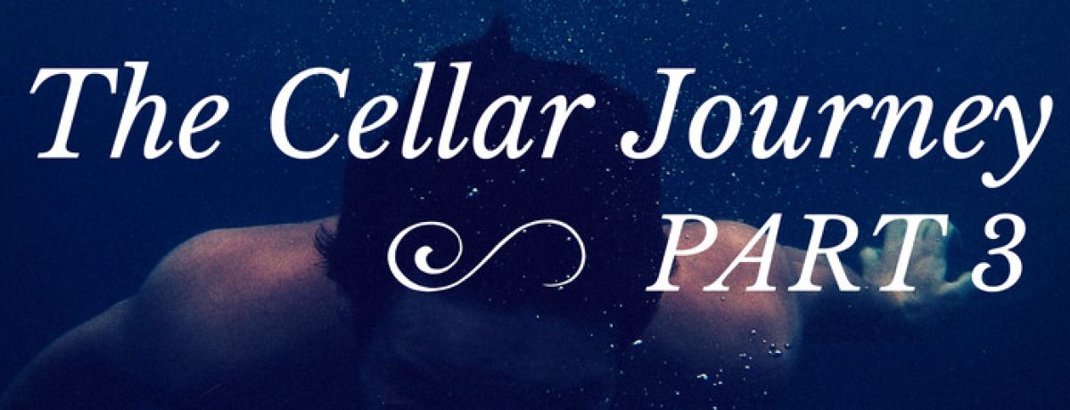 The Cellar Journey Part 3