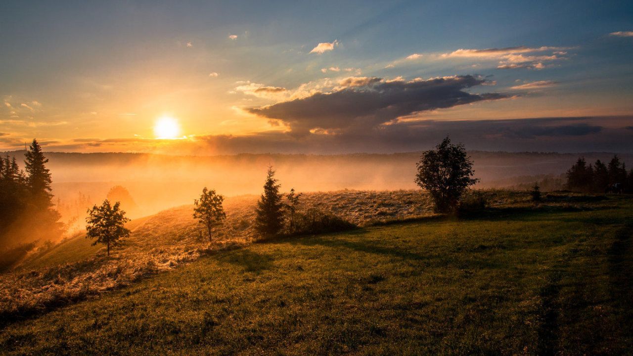morning sunrise, outdoors, trees, grass, sky