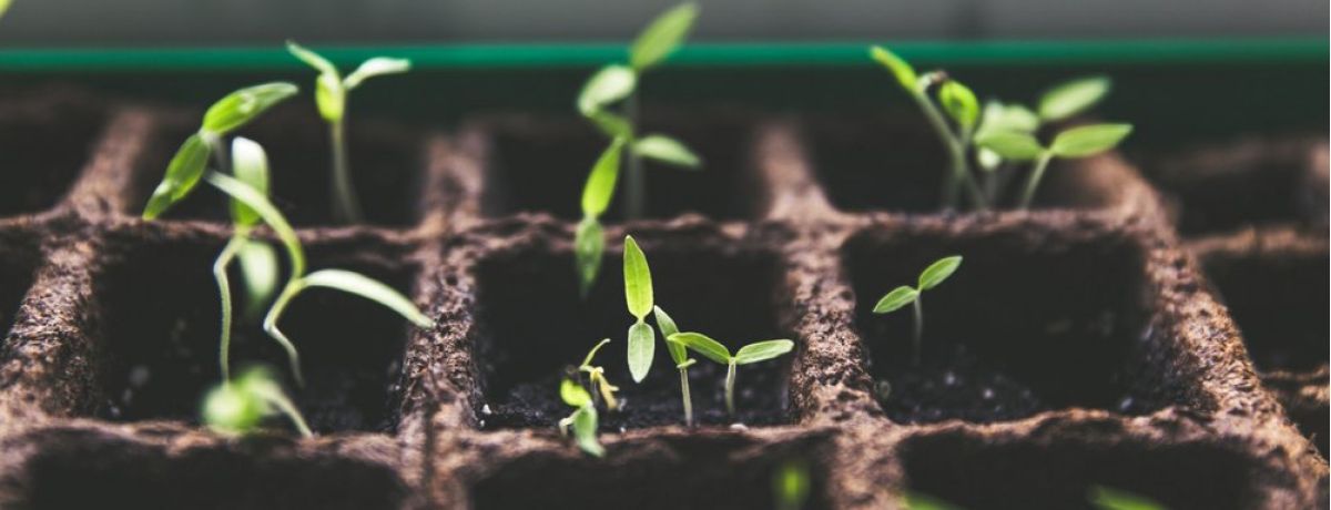 Three Ways to Boost your Sales Effectiveness