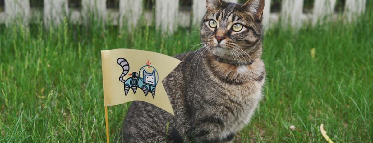 We Need To Take Initiative Because Leadership Development Doesn't Just Happen