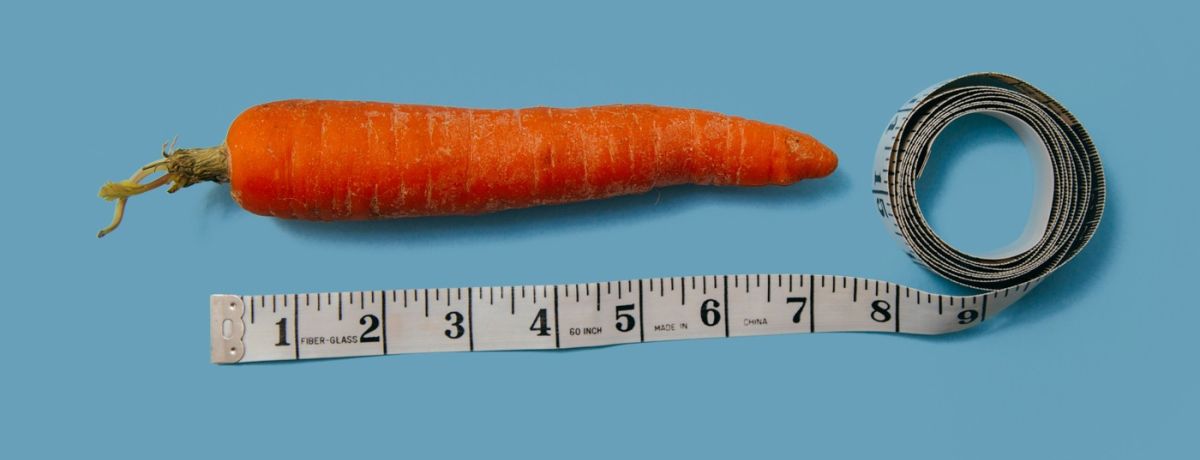 measuring carrot length