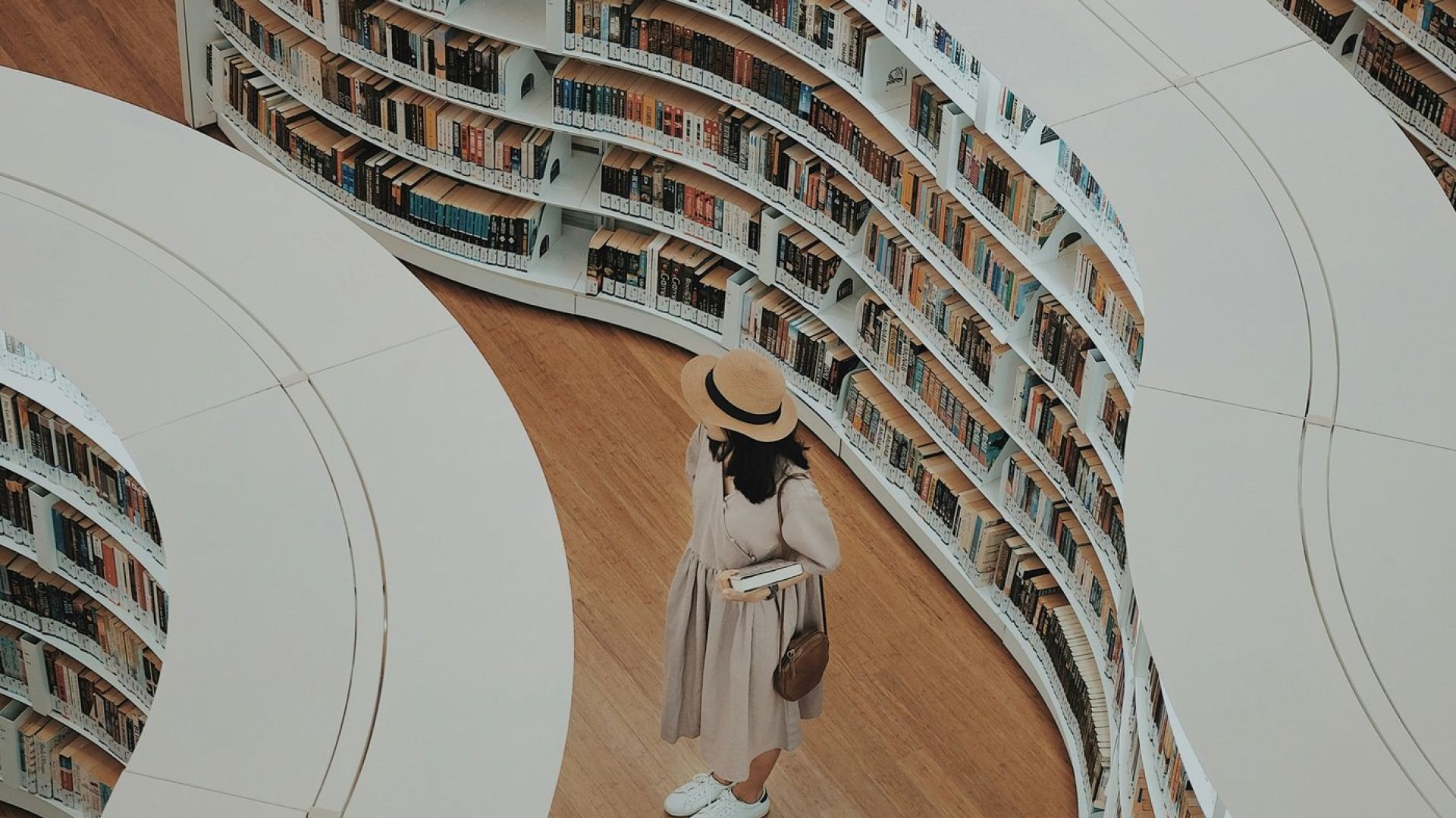 LIBRARY of books, shelves, indoors