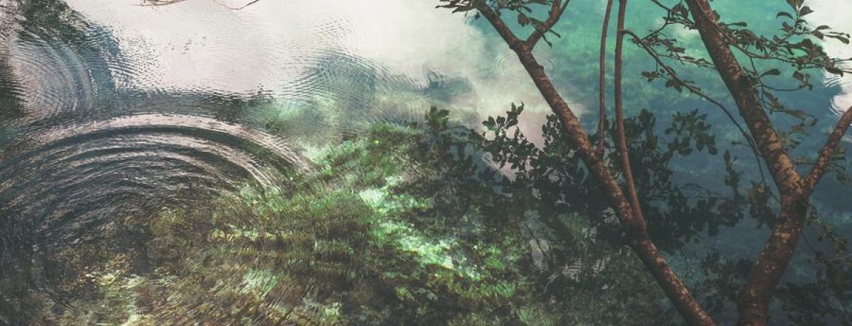 Water Reflection With Ripples