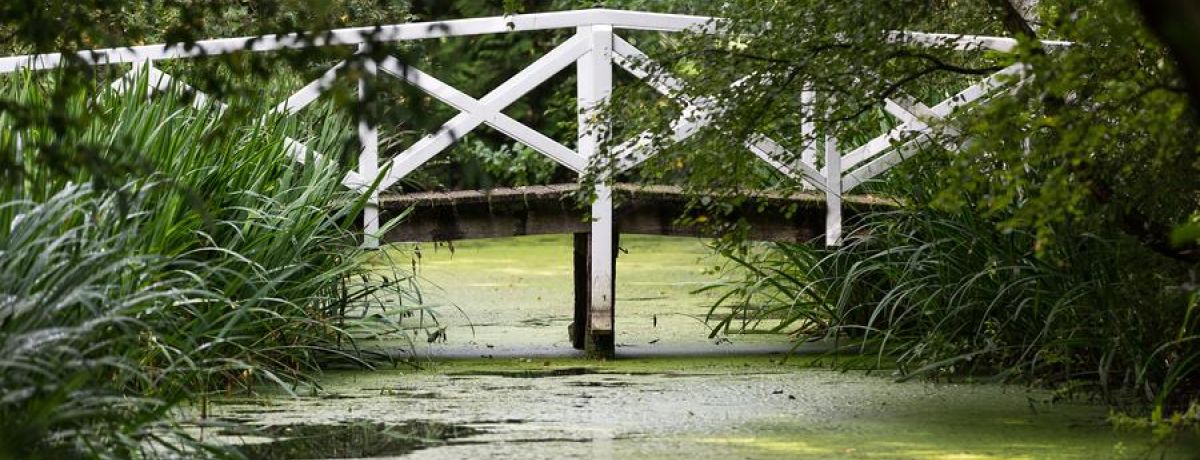 Cooperation Is Possible - Even In The Most Divisive Situations