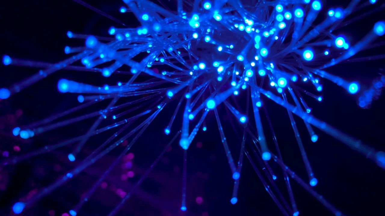 network connections