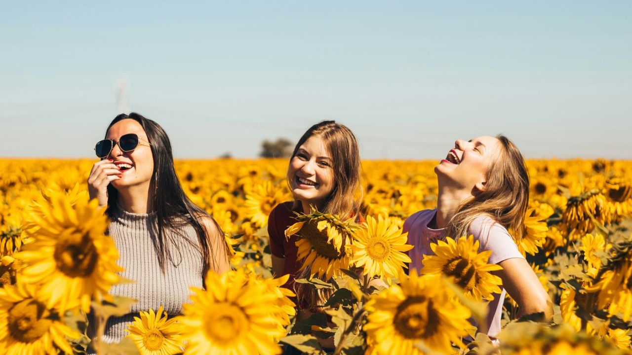 happy laughing women in a sunflower field