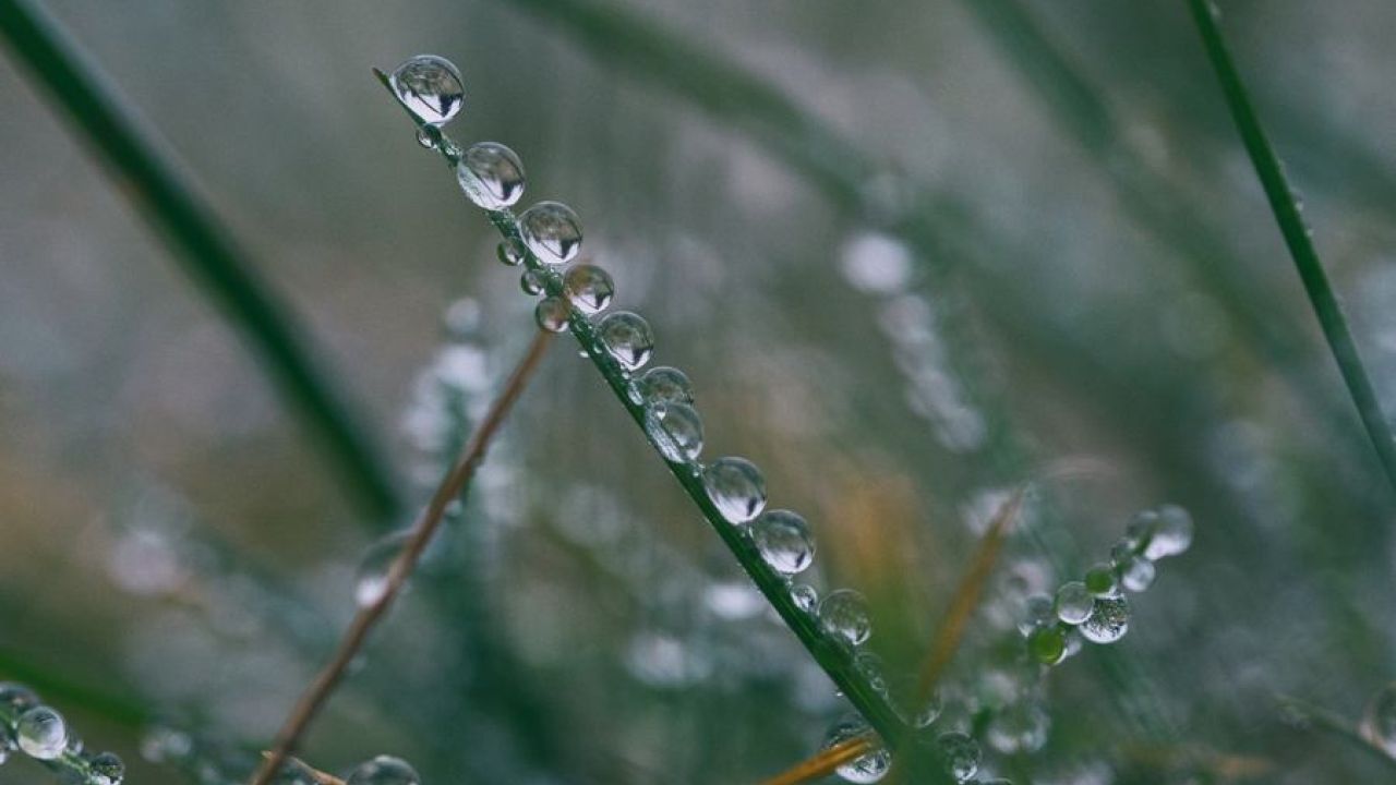 My Reflections After 44 Days Of Weekday Blogging