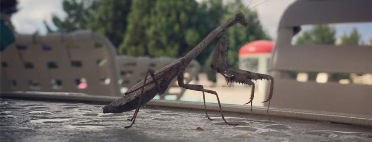 What Does Your Current Prayer Mean To You?