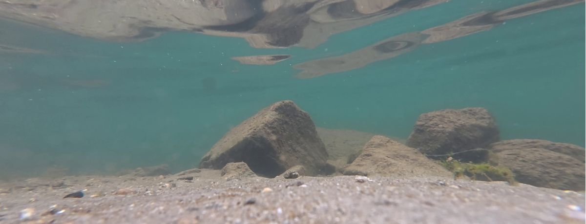 dji camera underwater shot