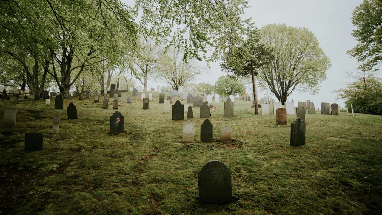 a graveyard
