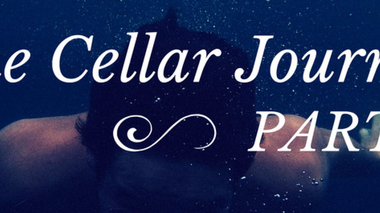 The Cellar Journey Part 3