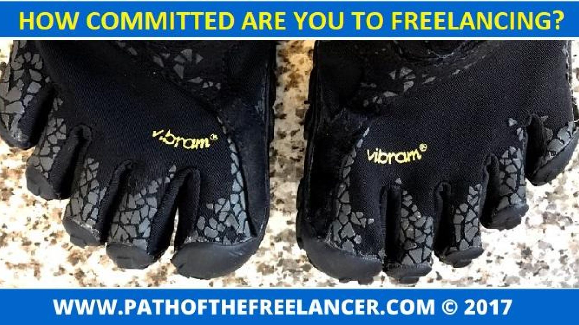 Path of the freelancer, interview blog