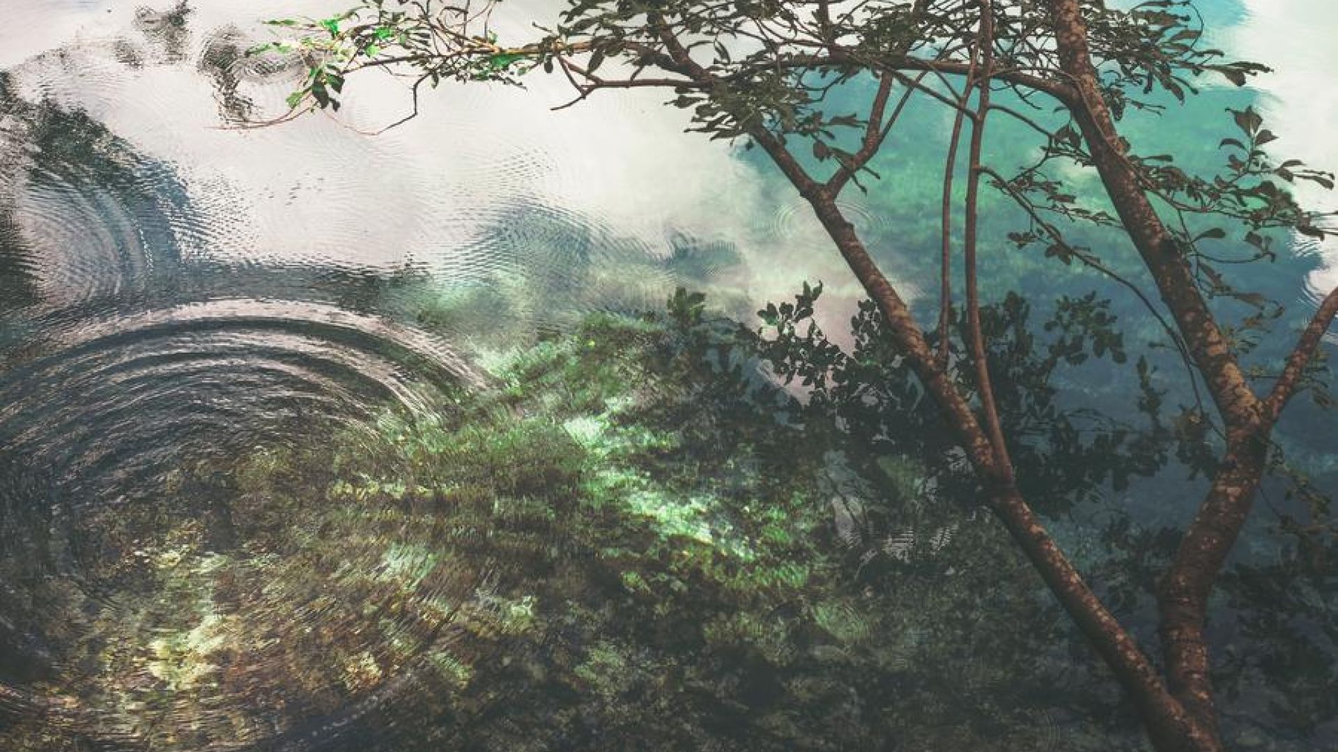 Water Reflection With Ripples