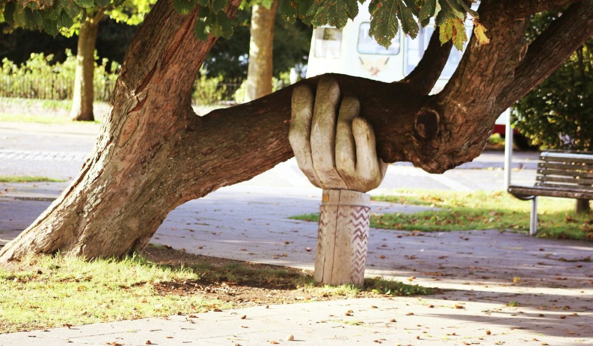 hand holding a tree up
