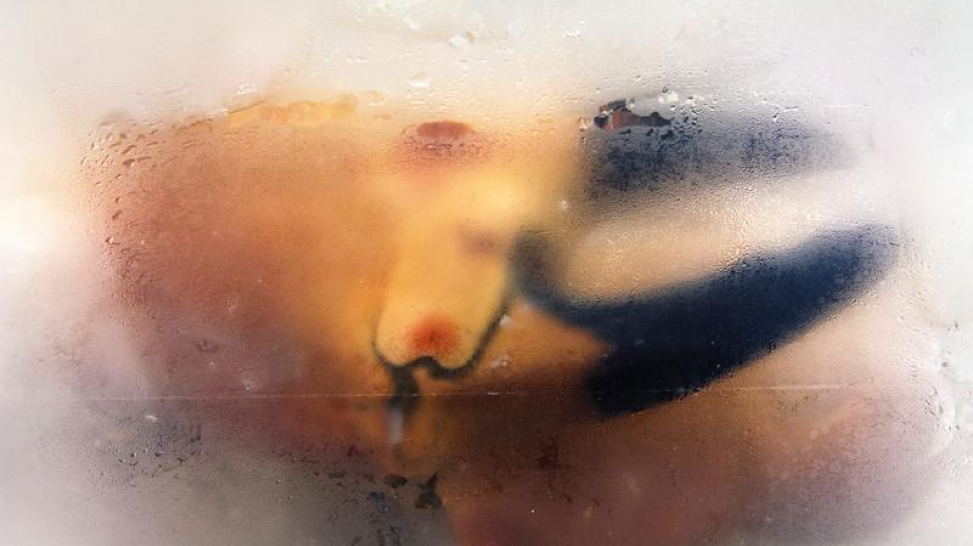 Crab behind glass wall