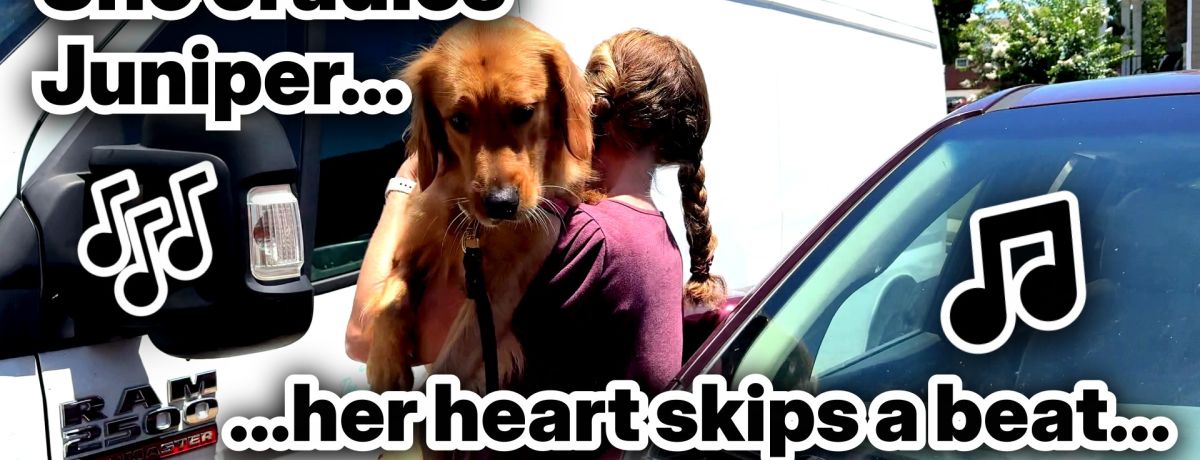 juniper and jones song