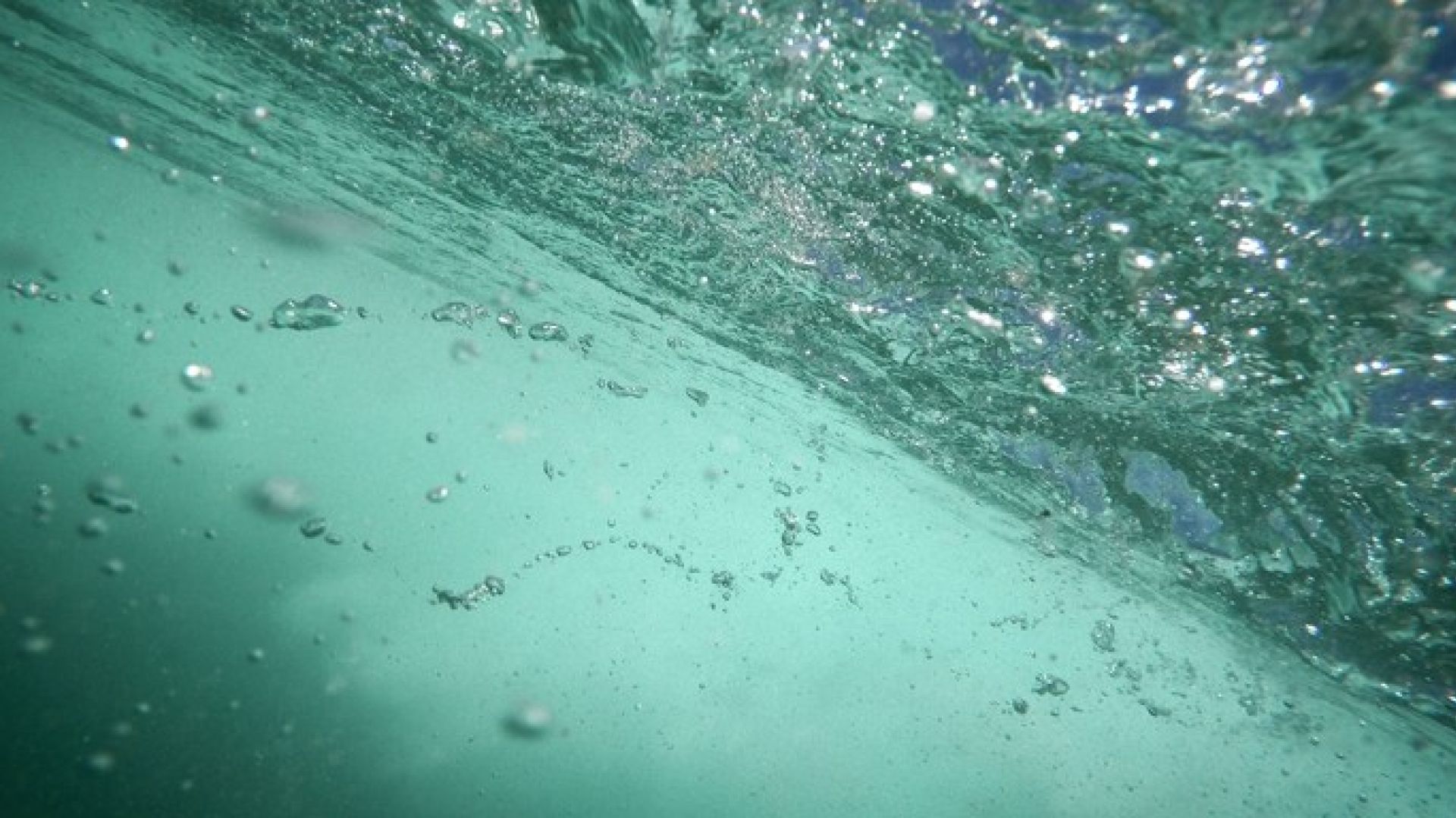 Our Project Manager Dilemma: The Birth of IDEMA