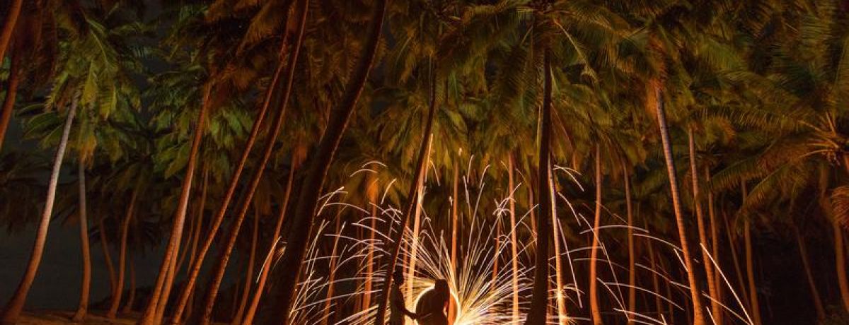 Night sparks and fire in forest