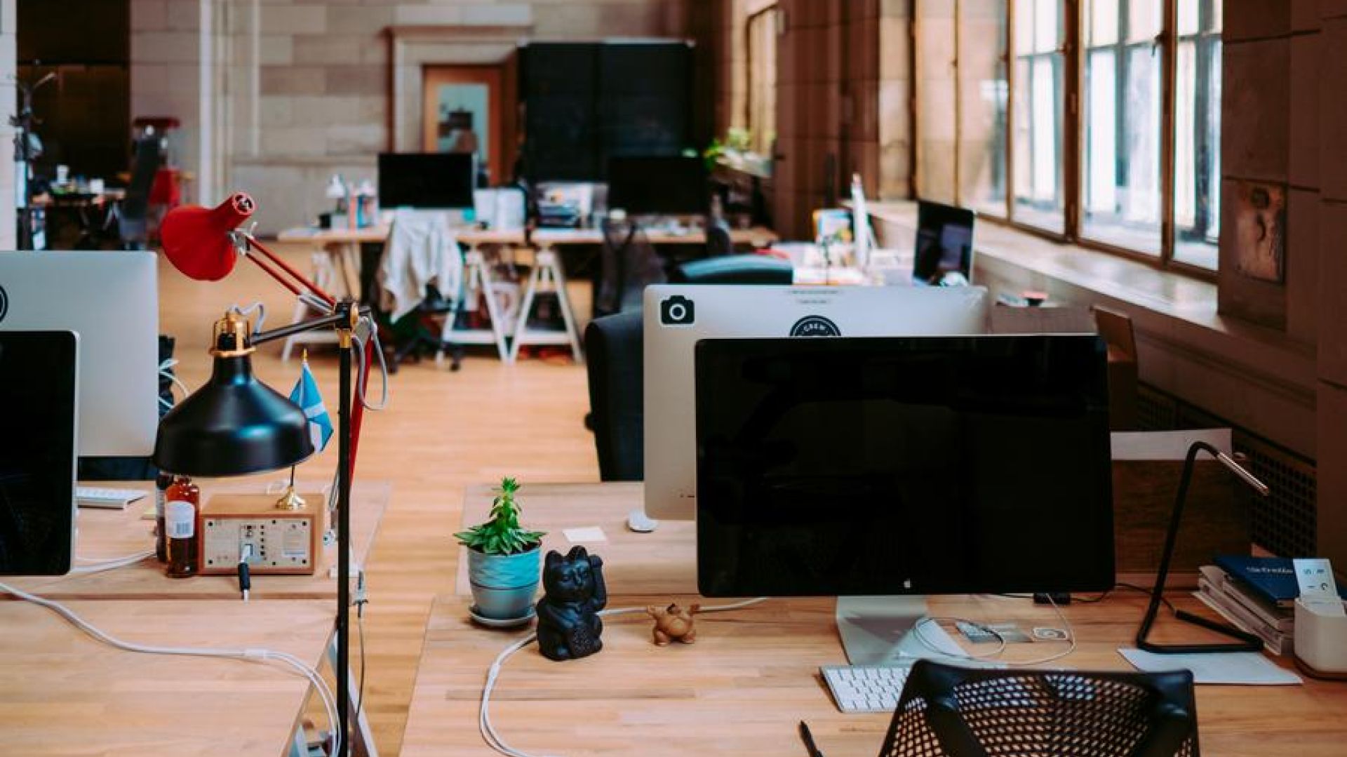 What Are The Five Stages Of Every Organization?