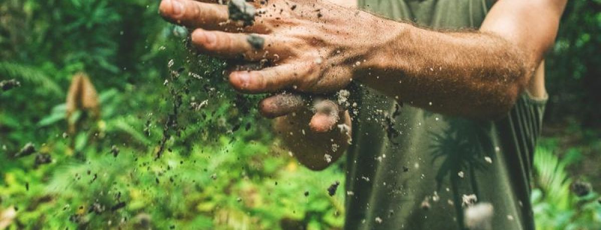 man rubbing dirt together in hands in forest