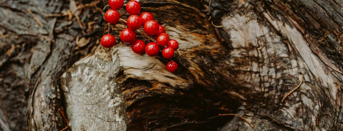 enticing berries