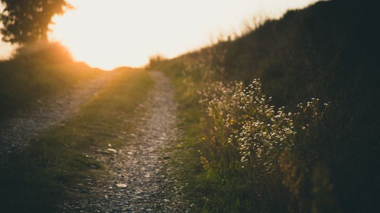 Path Of The Freelancer Website Launch