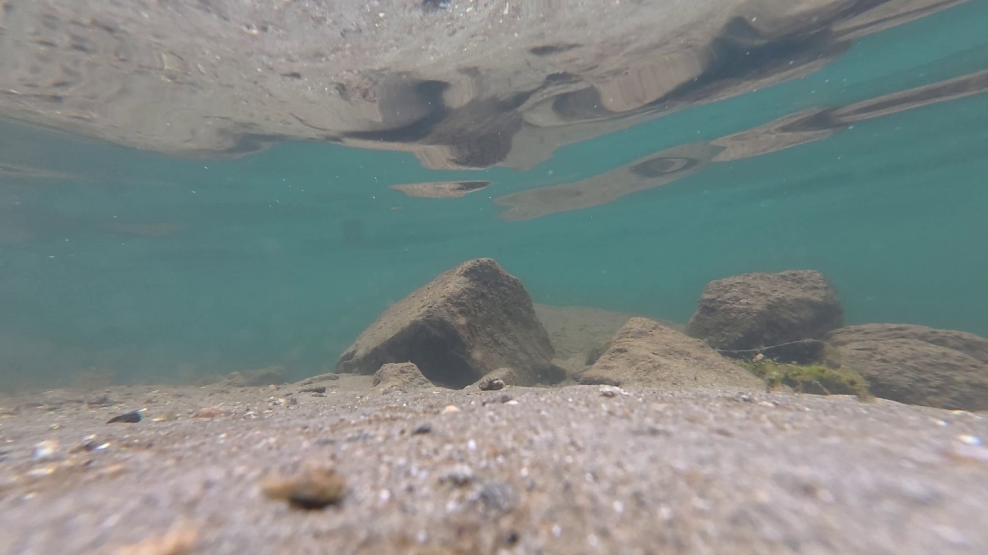 dji camera underwater shot