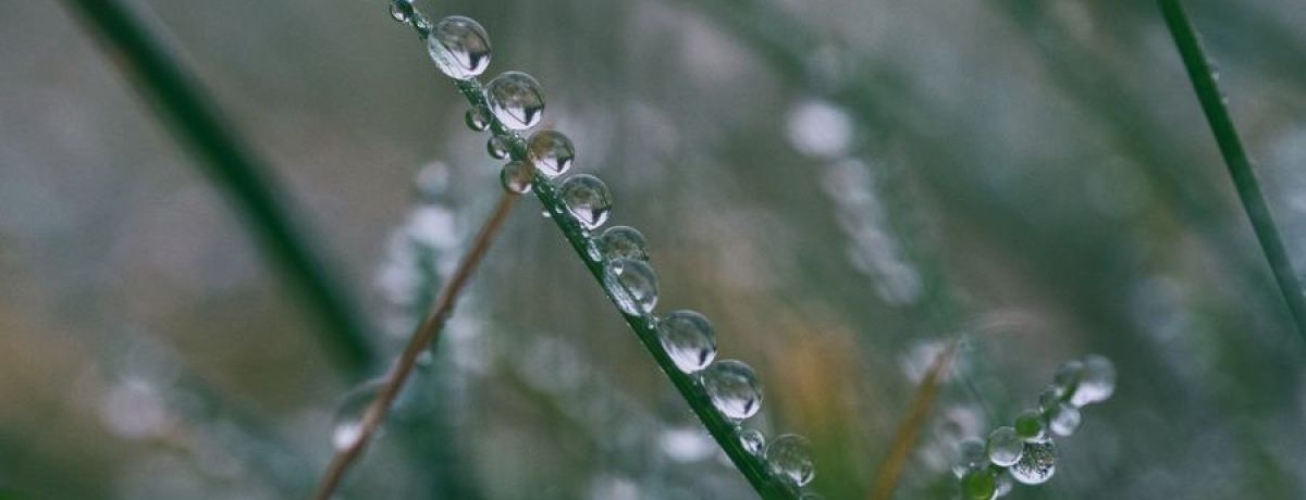 My Reflections After 44 Days Of Weekday Blogging