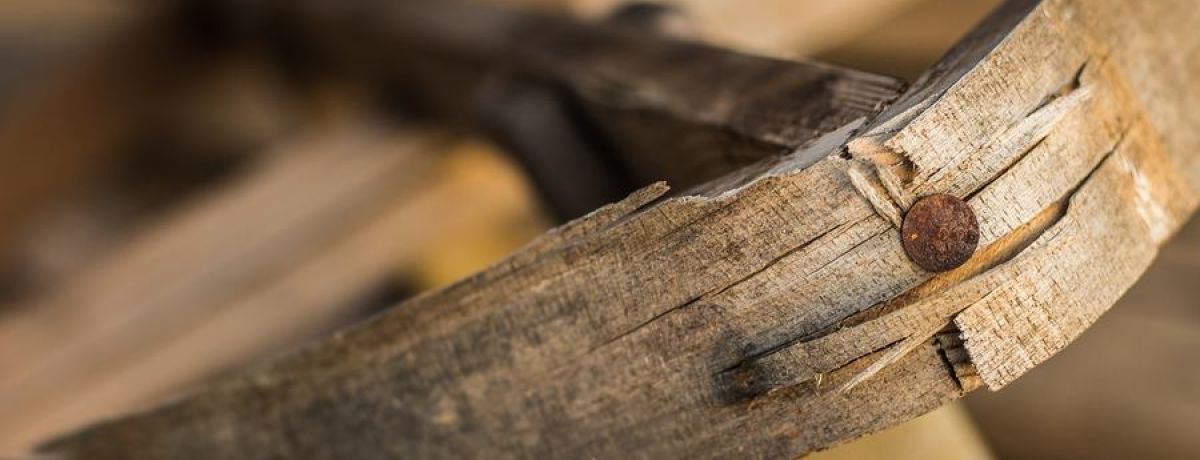 The 'Splinter Effect': Wounds, Pain & Healing