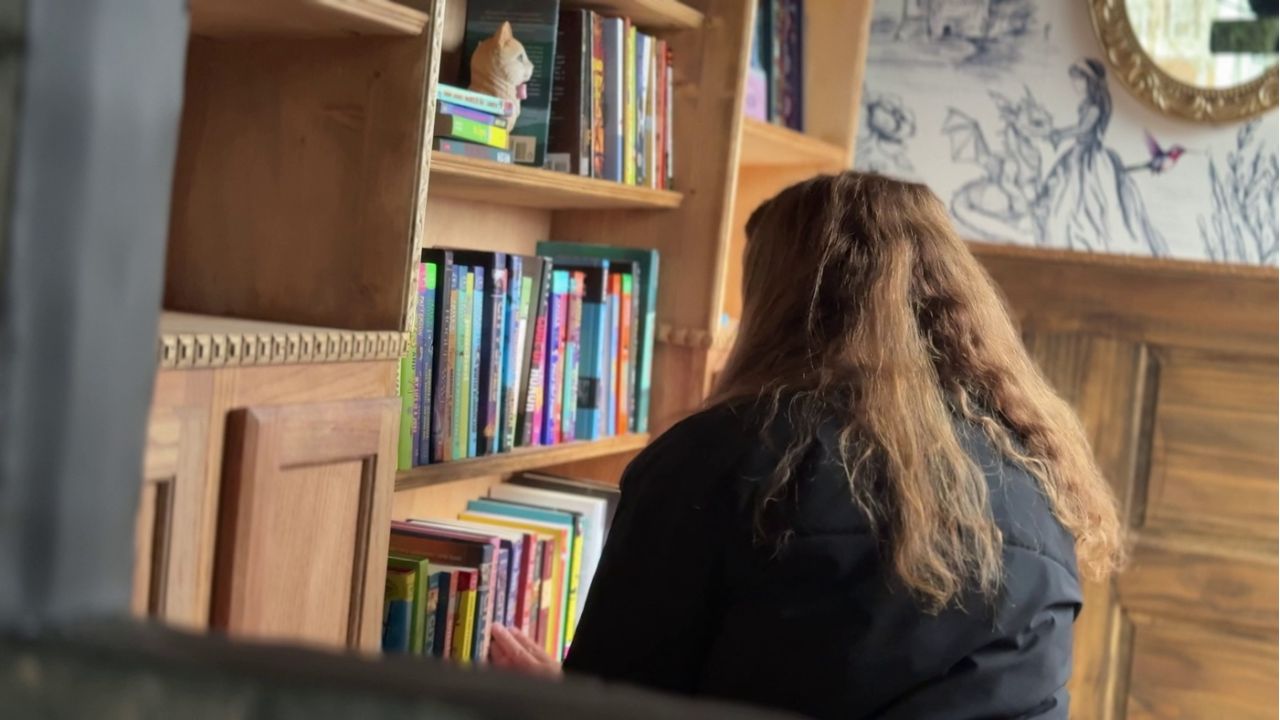 cait, library, bookshelves