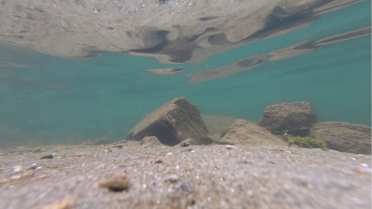 dji camera underwater shot