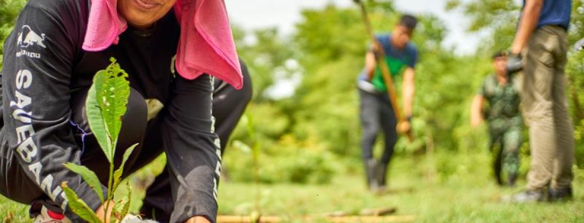 woman gardening