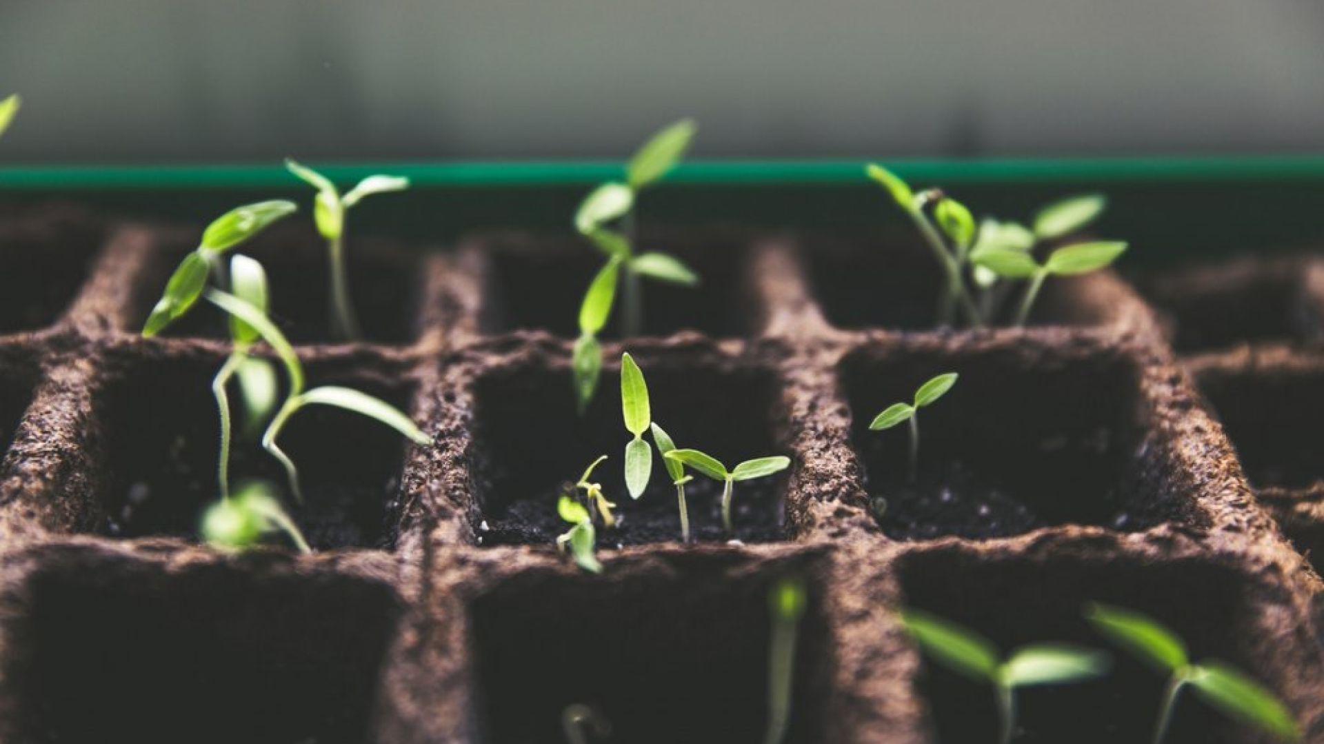 Three Ways to Boost your Sales Effectiveness