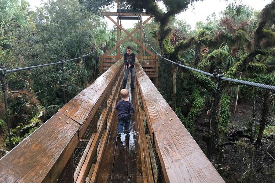 Florida State Park Canopy Bridge Forest
