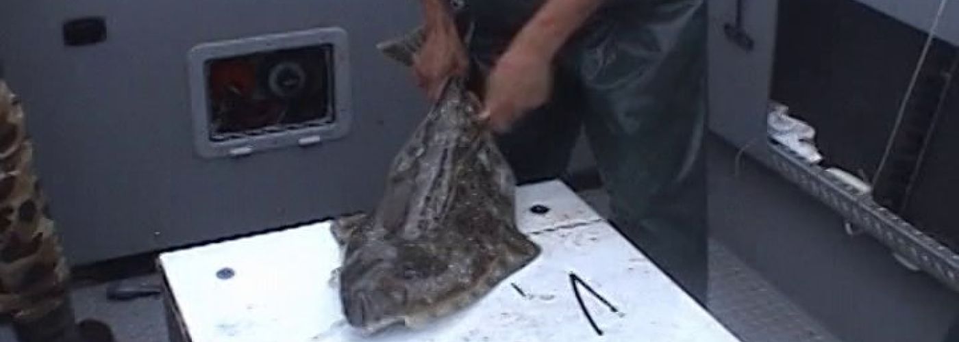 alaska deep sea fishing, halibut