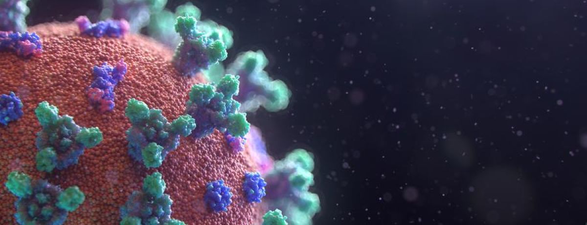 Your Personal & Practical Coronavirus Crisis Survival Guide