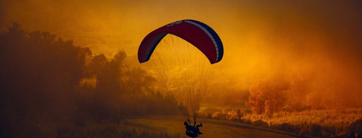 2016: Another Year In The Books