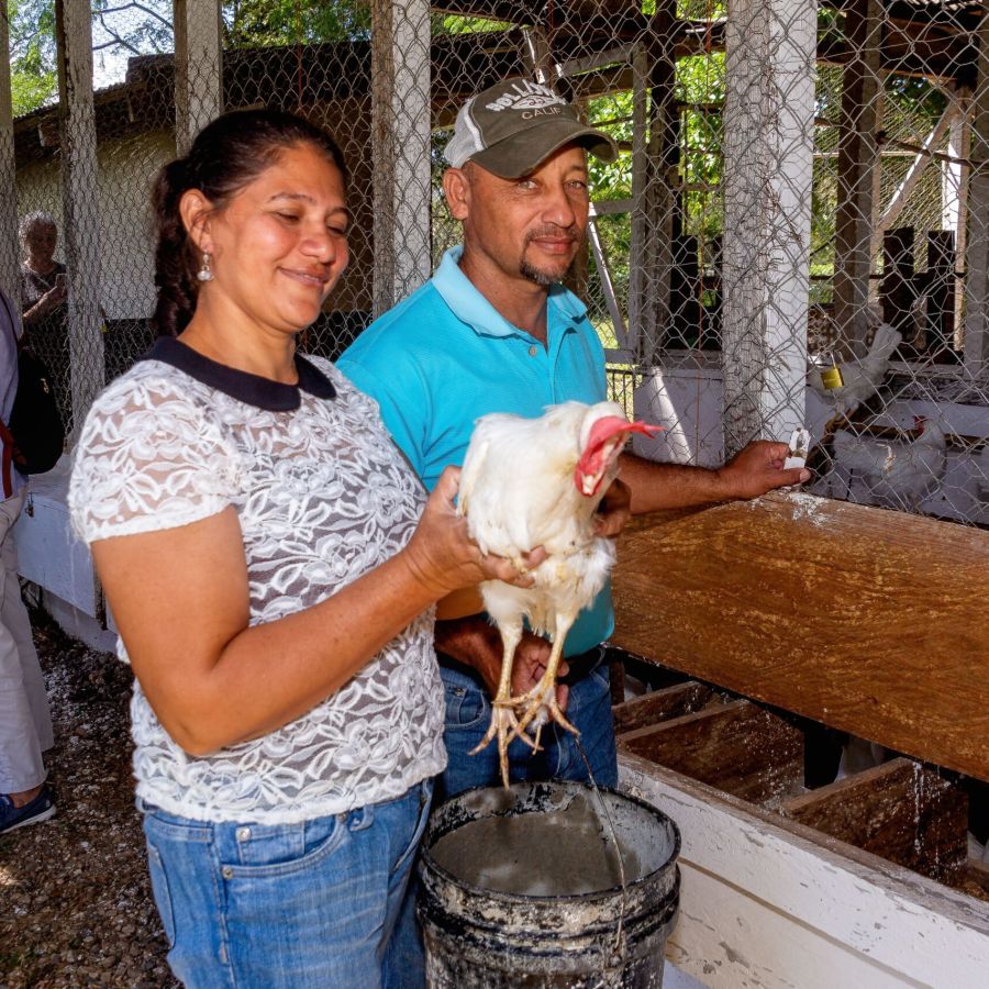 woman holding a chicken, outdoors