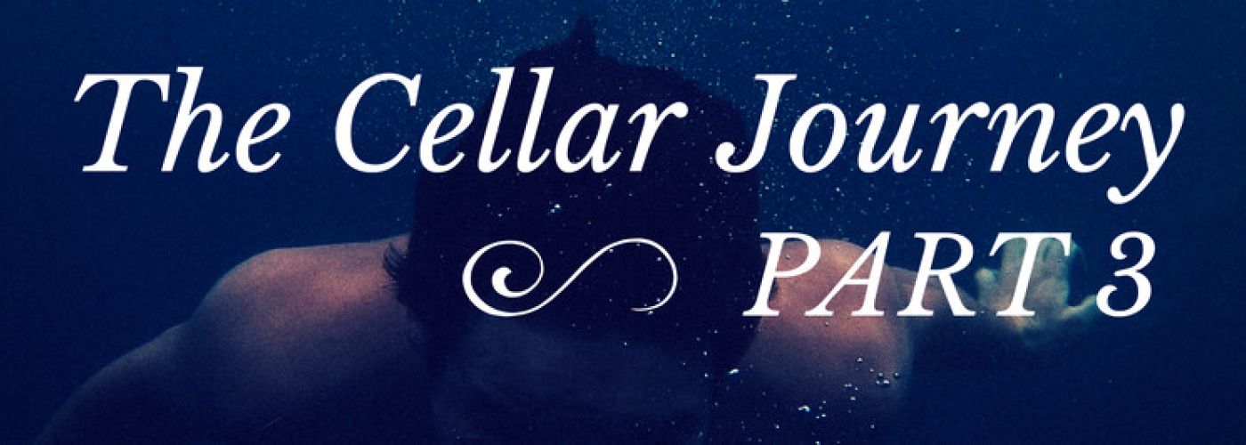 The Cellar Journey Part 3