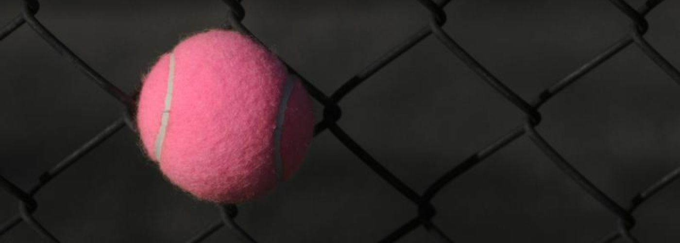 Pink Tennis Ball Stuck In The Fence