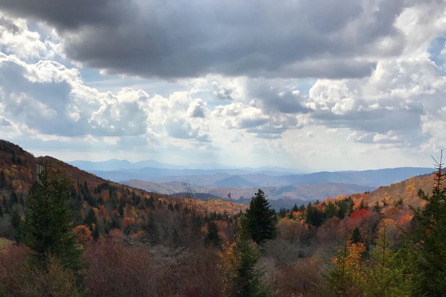 Appalachian trail, mouth of wilson, va 24363, usa, united states