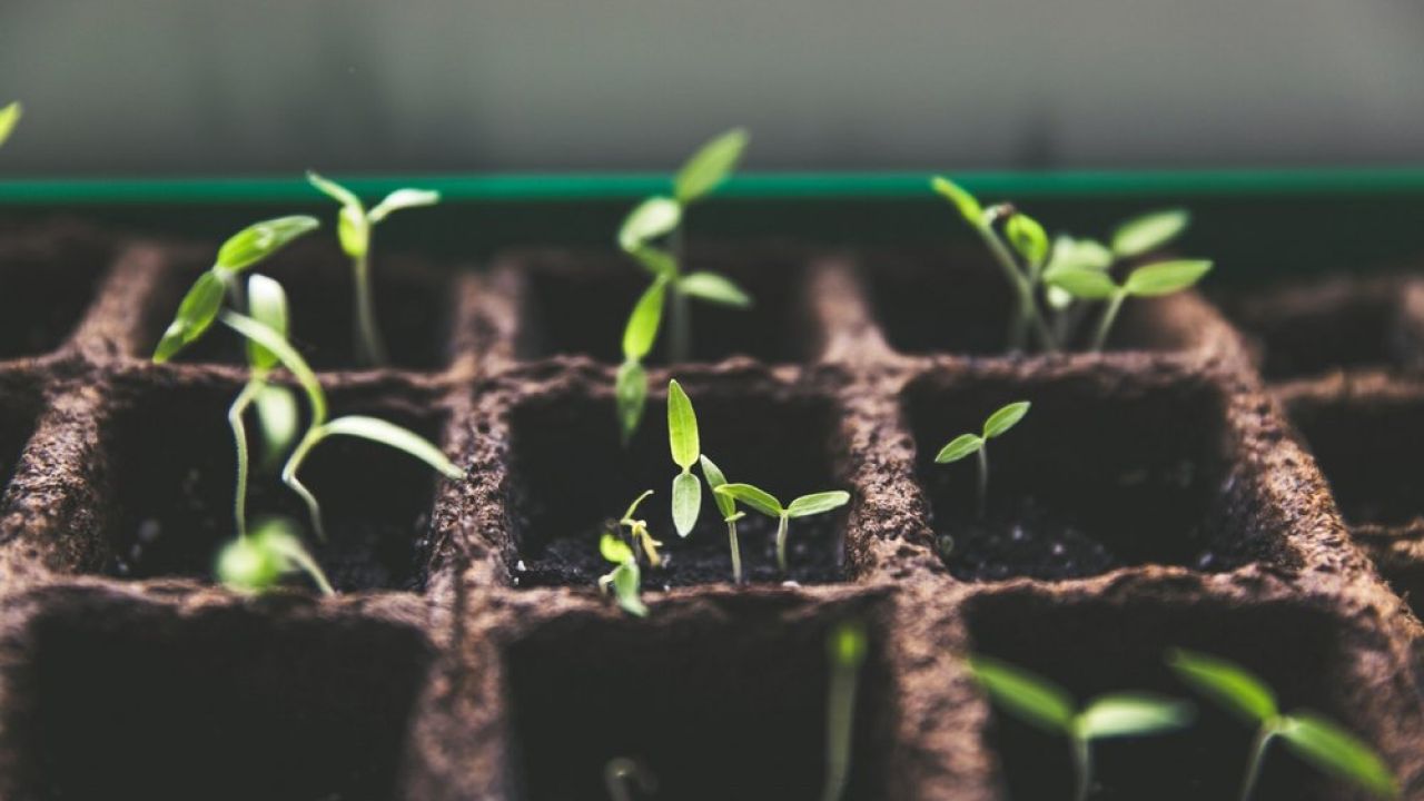 Three Ways to Boost your Sales Effectiveness