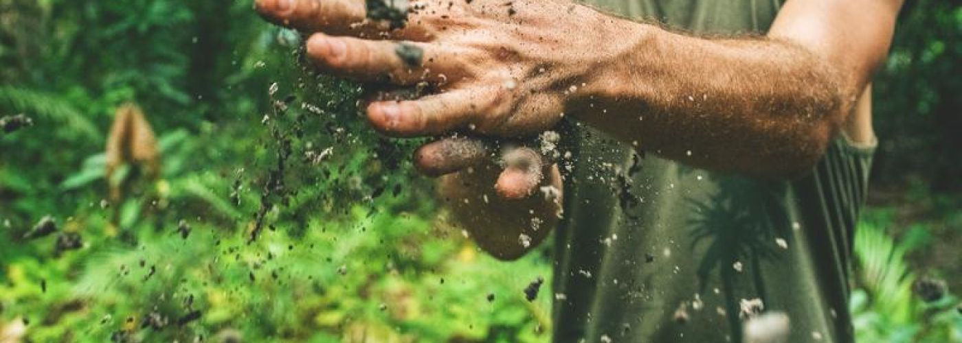 man rubbing dirt together in hands in forest