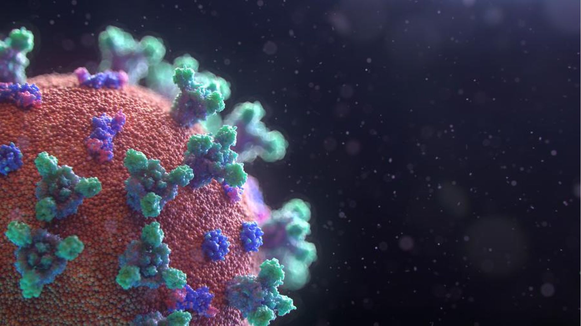 Your Personal & Practical Coronavirus Crisis Survival Guide