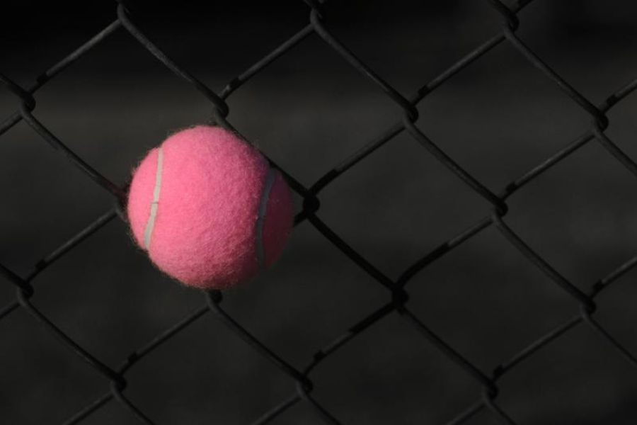 Pink Tennis Ball Stuck In The Fence