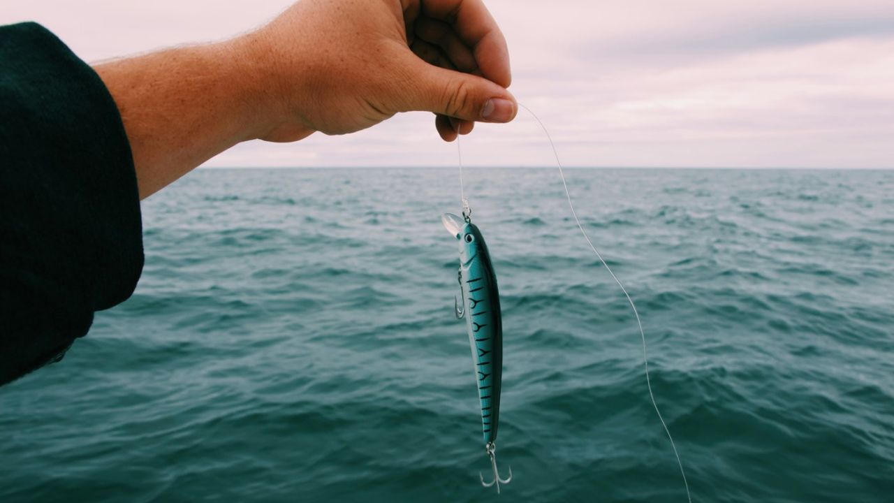 fishing lure, water